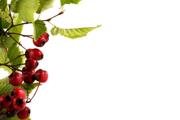 Christmas background