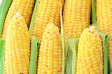 Yellow corns