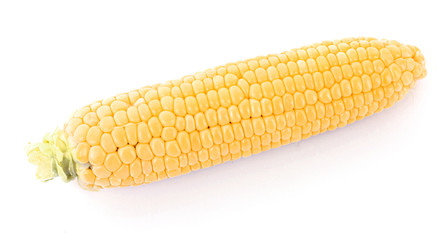Corn isolated on white
