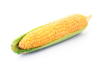 Corn isolated on white