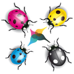 Coccinelles de l'imprimerie, vecteur