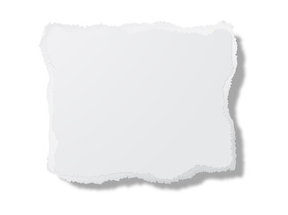 Obraz premium Piece of torn paper
