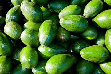 Green Gold