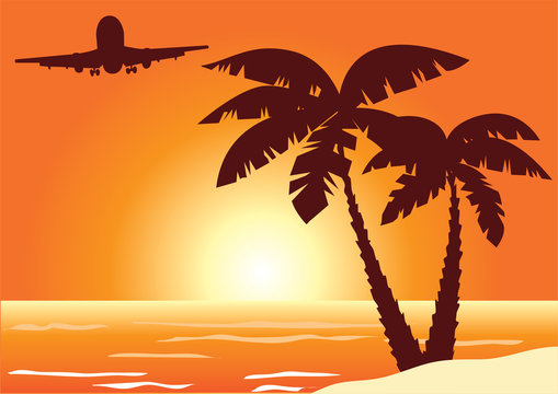 beach with palms and plane