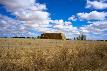 Campo dopo la mietitura