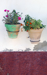 Fototapeta na wymiar Flower pots with geraniums, roses