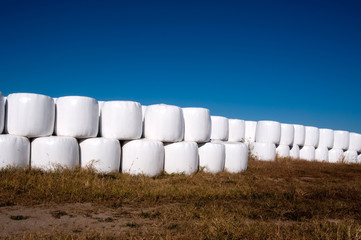 Stacks of hay bales wrapped in plastic with blue sky