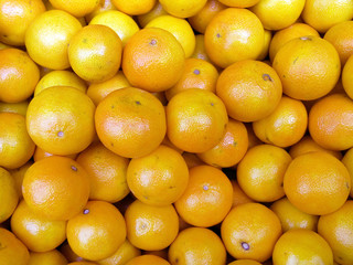 tangerines background