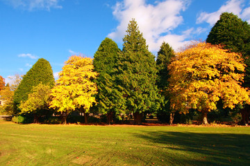 Fototapeta premium Jesień w Szkocji