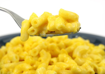 Fork full of macaroni and cheese
