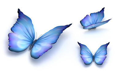 Blue butterfly isolated on white. 3d render.