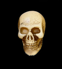 plastic skull