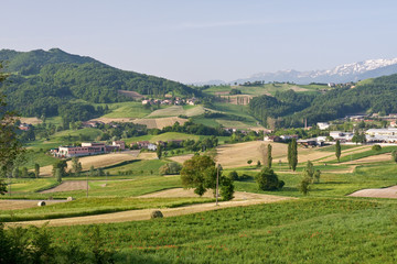 Fototapeta na wymiar Typowy krajobraz Toskanii
