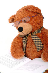 Teddy mit Brille und Buch