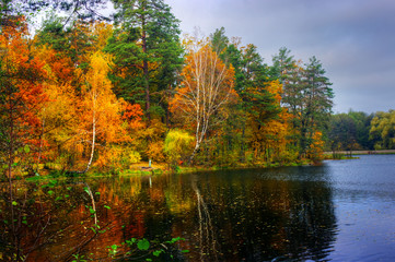 Fototapeta na wymiar Picturesque autumn landscape of lake and bright trees and bushes
