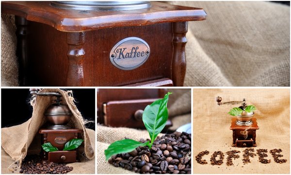 collage vintage coffee grinder, sign coffe and coffee plant