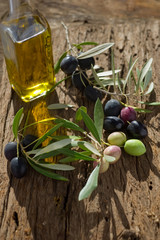 olive branch with oil-ramo olive e olio