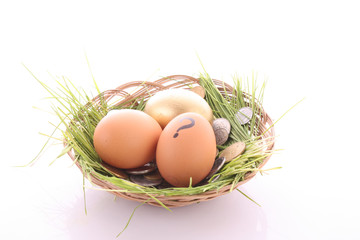 Gold  egg in nest. Ukrainian coins