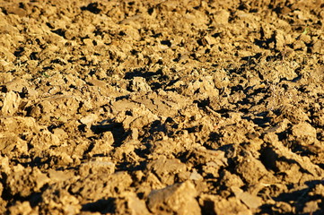 Background with soil