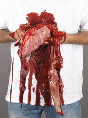 Man Holding Organs. Model Released