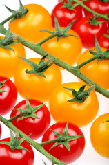 Vine Grown Organic Tomatoes