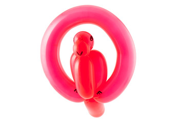 Twisted Balloon Parrot
