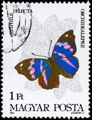 HUNGARY - CIRCA 1984 Epiphille
