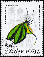 HUNGARY - CIRCA 1984 Ornithoptera
