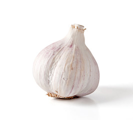 garlic  on a white background