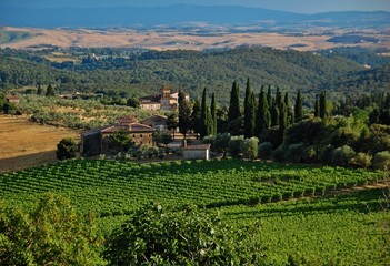 Campagna chiantigiana presso San Gusmé
