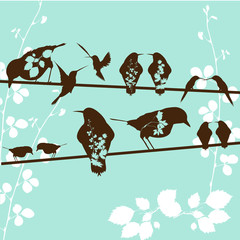 Birds on a wire - 27020263