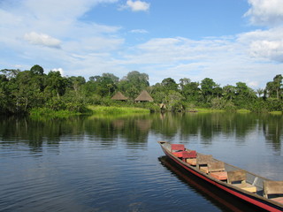 Fototapeta na wymiar Ekwador Amazon - Rio Napo
