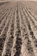 The Ploughed Furrows of a Farmers Field.