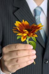 Businessman holding sunflower