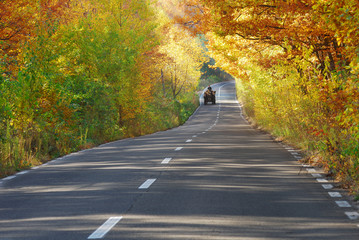 wagon on road on fall