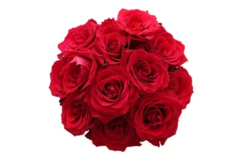 Photo sur Plexiglas Roses Roses