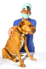 Veterinair with dog
