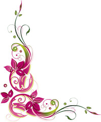 Fototapeta na wymiar Blumen, Blüten, Ranke, flora, filigran, grün, pink