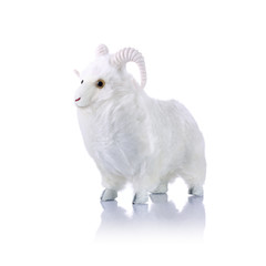 Model ram isolated on white
