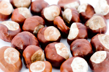 bunch of Chestnuts  on white background