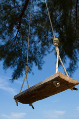 Swing of wood planks