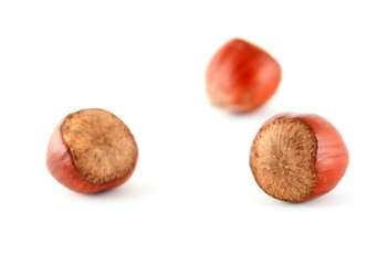 Hazelnuts against a white background