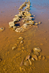 lake in the red australia desert