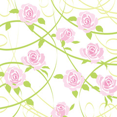 rose background