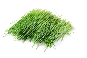 Wheatgrass