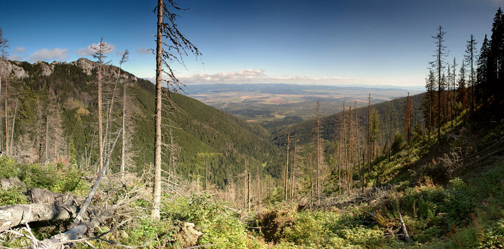 Mountain panorama