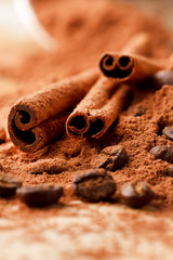 Cinnamon Sticks with Cocoa