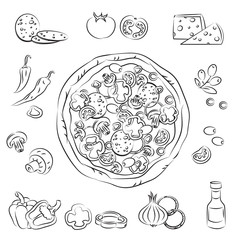 Vector Sketch Collection of Pizza and ingredient