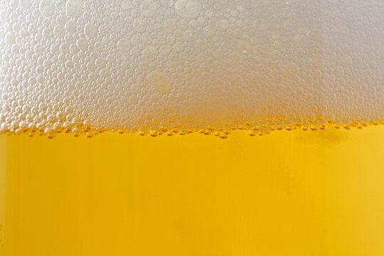 schiumma della birra