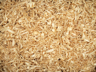 wood shavings